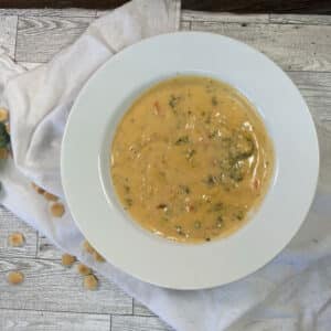 Broccoli & Cheese Soup